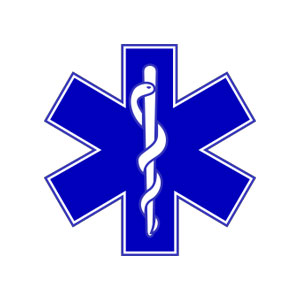 logo20